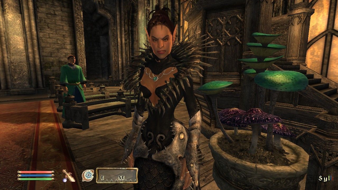 elder scrolls iv oblivion the shivering isles