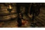 The Elder Scrolls IV : Oblivion - Image 15 (Small)