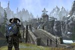 The Elder Scrolls Online - 13