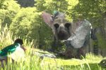 The Last Guardian - 5