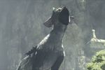 The Last Guardian - 9