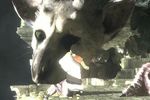 The Last Guardian - vignette