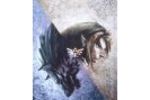 The Legend Of Zelda : Twilight Princess - Artwork (Small)