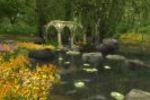 The Lord of the Rings Online : Shadows of Angmar ? Image 1 (Small)