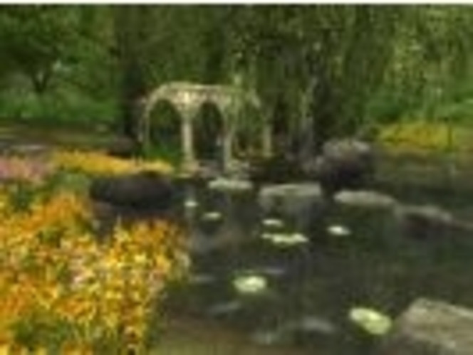 The Lord of the Rings Online : Shadows of Angmar ? Image 1 (Small)