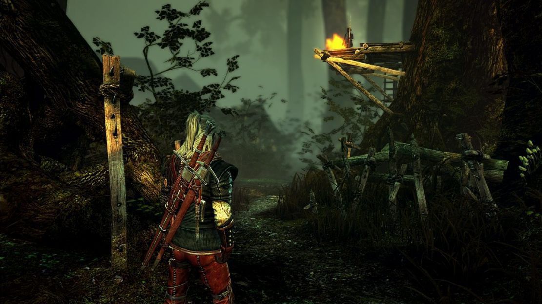 The Witcher 2 - Image 10