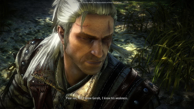 The Witcher 2 - Image 113
