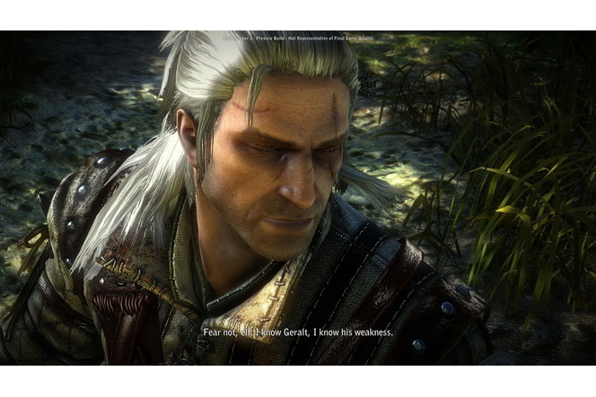 The Witcher 2 - Image 113