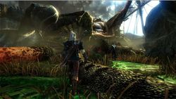 The Witcher 2 - Image 12