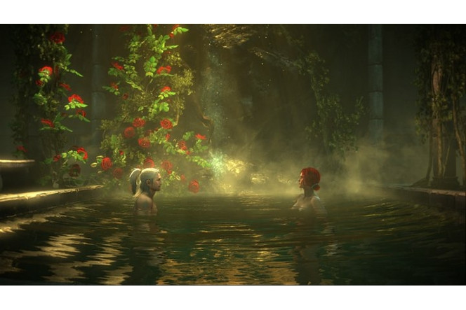 The Witcher 2 - Image 13