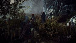 The Witcher 2 - Image 18