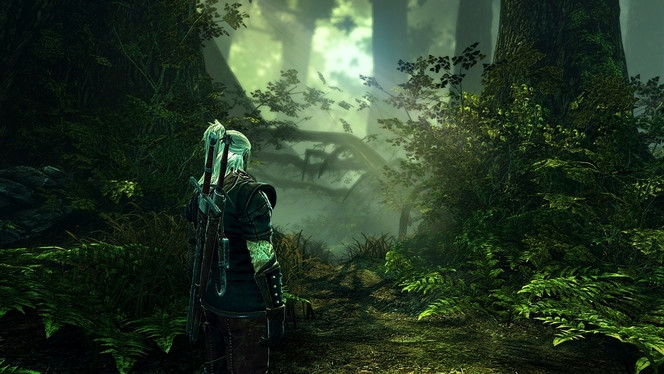 The Witcher 2 - Image 1