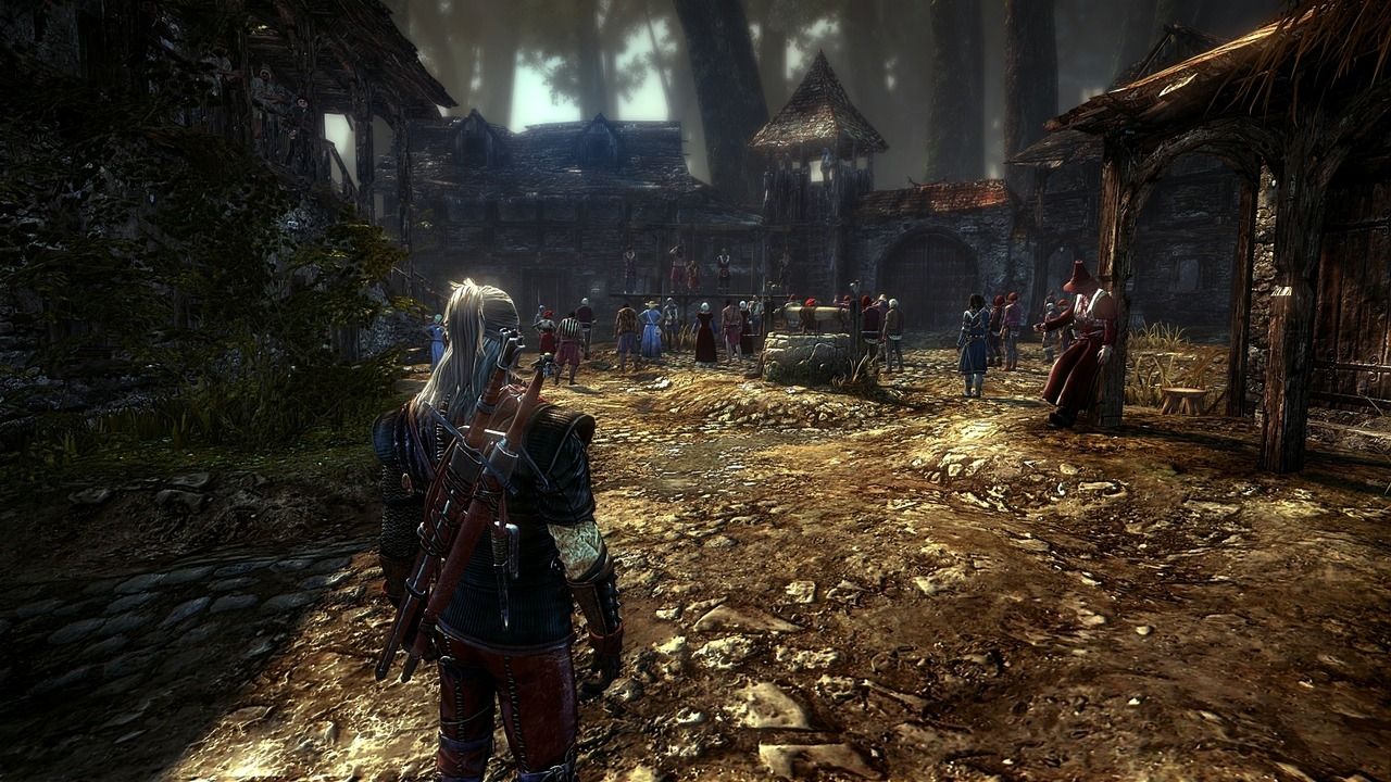 The Witcher 2 - Image 22