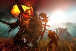The Witcher 2 - Image 36