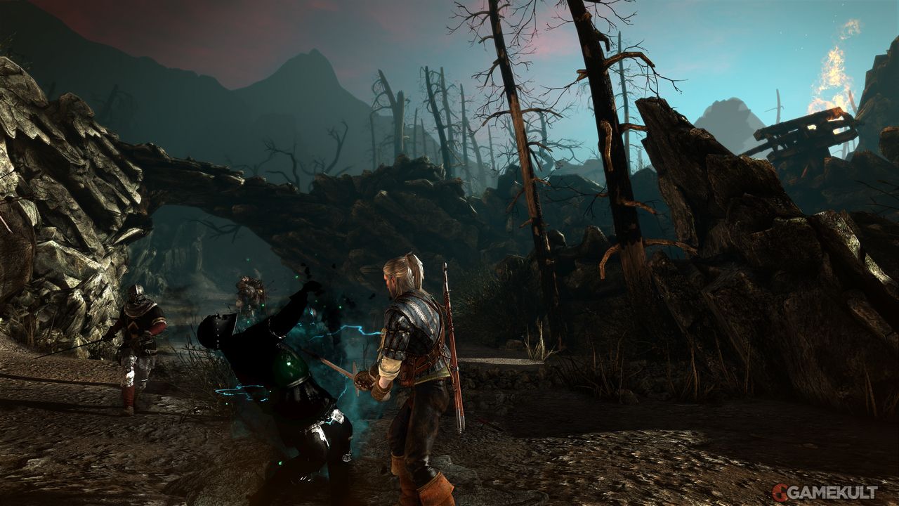 The Witcher 2 - Image 48