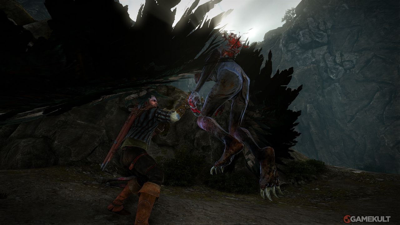 The Witcher 2 - Image 49
