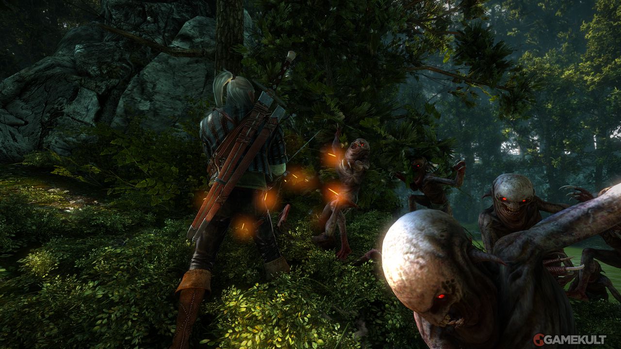 The Witcher 2 - Image 50