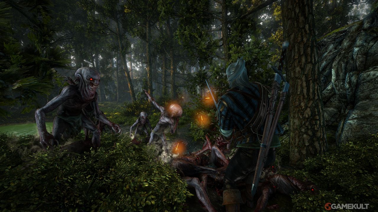 The Witcher 2 - Image 51