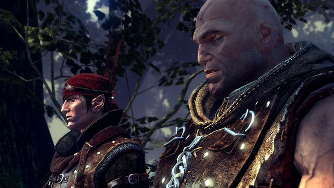 The Witcher 2 - Image 5