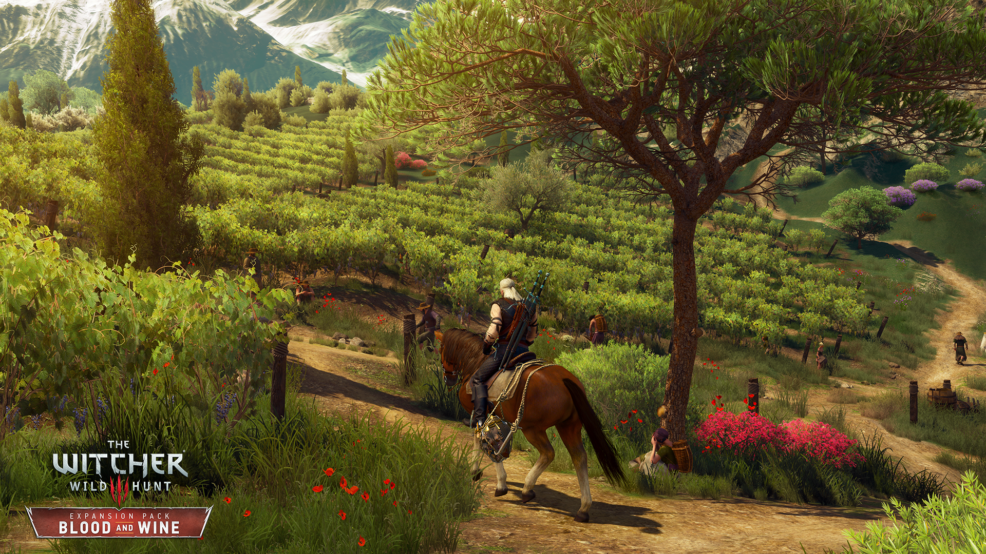 The Witcher 3 Blood and Wine - 3
