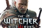 The Witcher 3 Wild Hunt - vignette