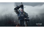 The Witcher 3