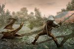 The Witcher Rise of the White Wolf - Image 2