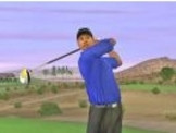 Tiger Woods 07 : des cheats payants