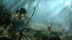 Tomb Raider - 6