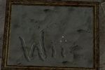 Tomb Raider Anniversary Wii - Image 1