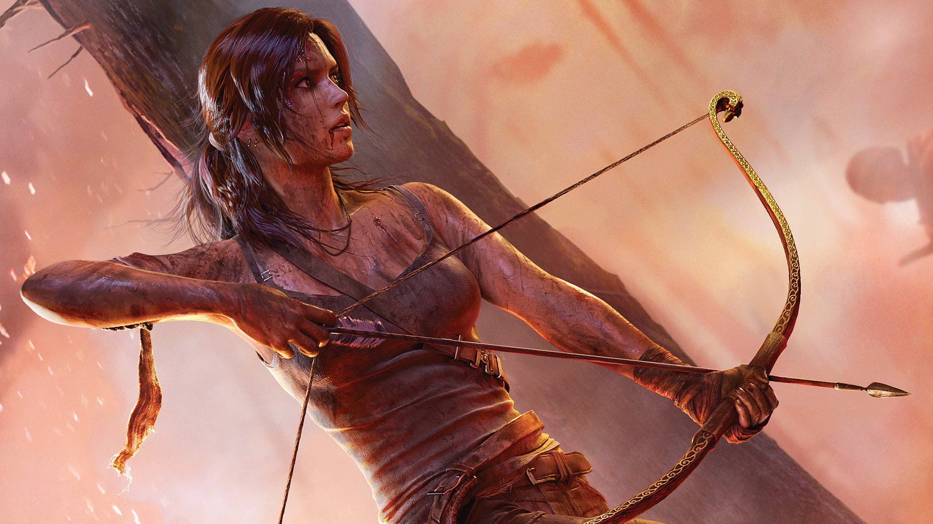 Tomb Raider - artwork.