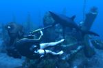 Tomb Raider Underworld - Image 13