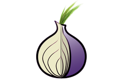 Tor-onion