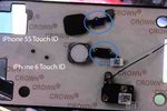 Touch ID iPhone 6