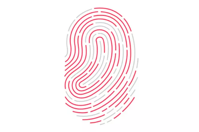 Touch-ID