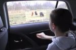 Toyota - vitre multimedia interactive