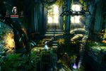 Trine - Image 29