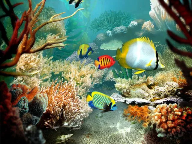 tropical fish screen 2