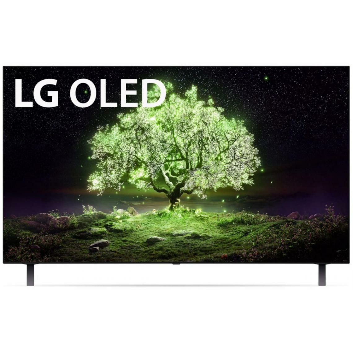 TV LG OLED 55A1
