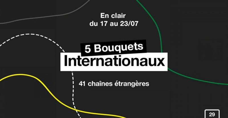 tv-orange-bouquets-internationaux-clair