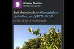 twitter glass