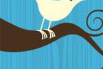 Twitter logo pro