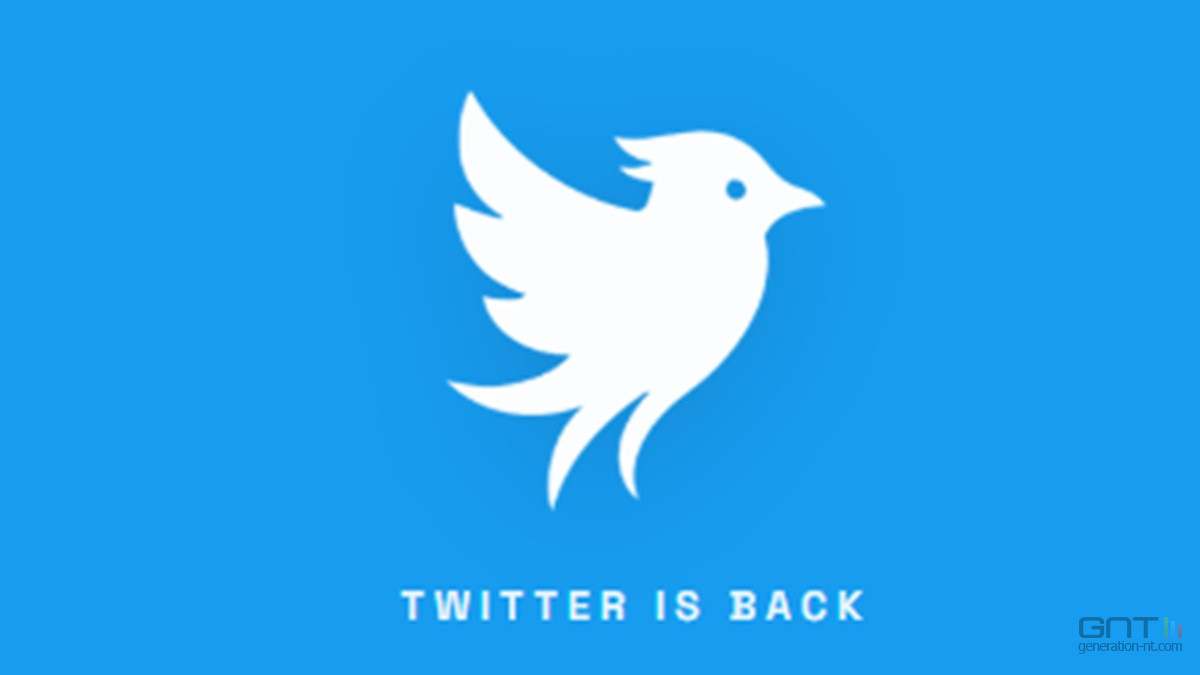 Le retour de Twitter ? Une startup ressuscite l'oiseau bleu et défie Elon Musk