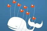 Twitter-Whale-fail