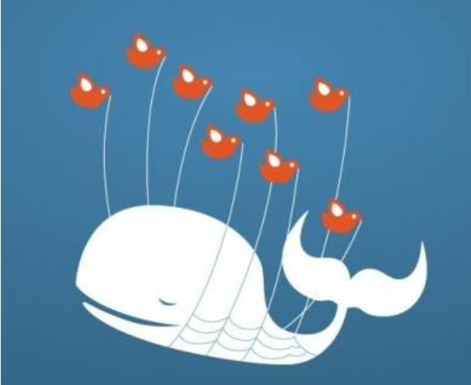Twitter-Whale-fail