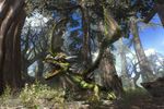 Two Worlds 2 - Image 7