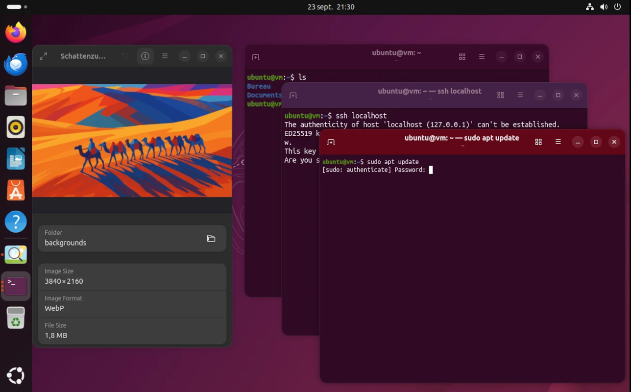 ubuntu-25.10-bureau