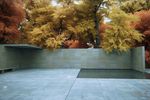 ue4-archviz-lake-leaves1-640x266