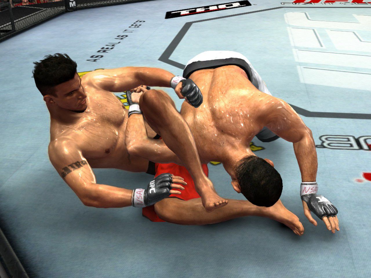 UFC 2009 Undisputed   Image 12