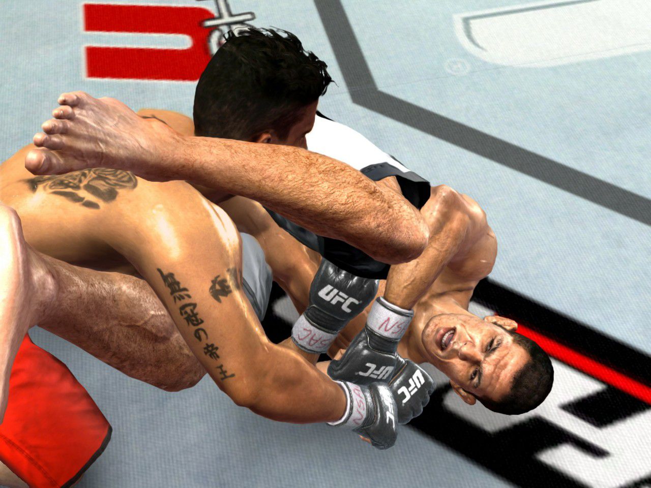 UFC 2009 Undisputed   Image 7